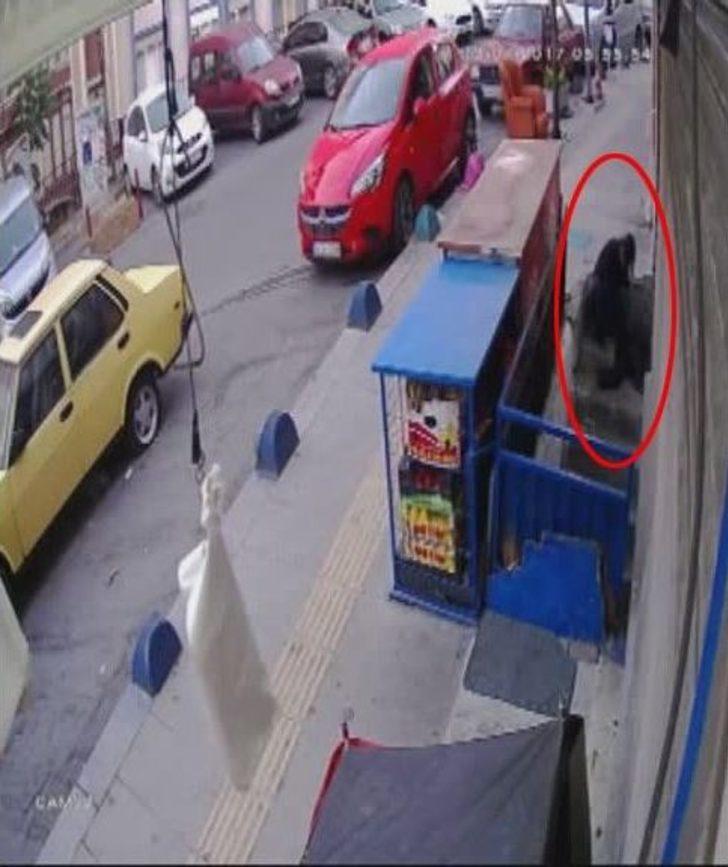 (özel Haber) Şişli’de 15 Dakikada 2 Evi Soyan Hırsızlar Kamerada