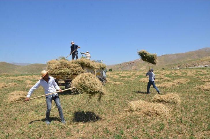 Yüksekova’daki Besicilerin Kış Hazırlığı G1