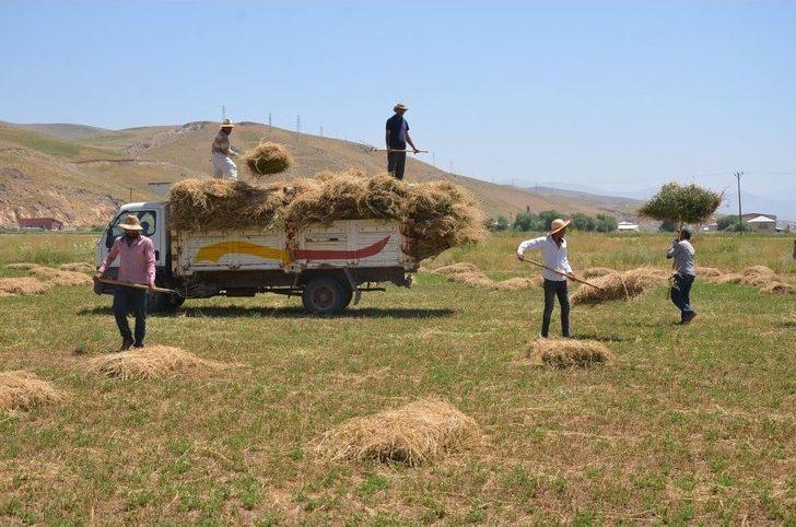 Yüksekova’daki Besicilerin Kış Hazırlığı G2
