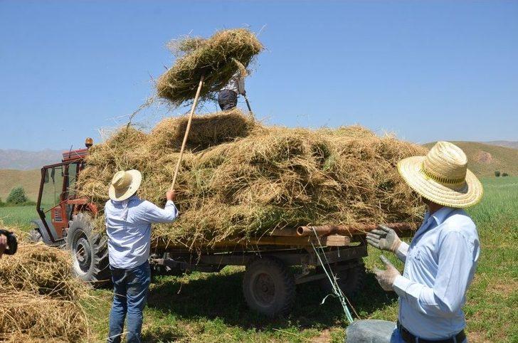 Yüksekova’daki Besicilerin Kış Hazırlığı G3