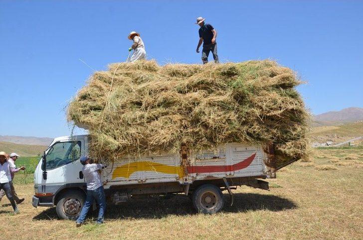 Yüksekova’daki Besicilerin Kış Hazırlığı G4