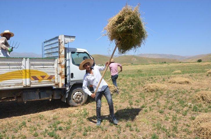 Yüksekova’daki Besicilerin Kış Hazırlığı G5