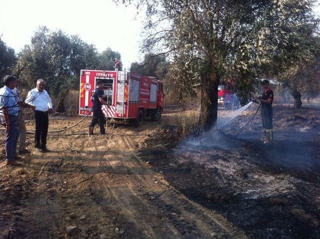 Sultanhisar&rsquo;da Yangın 1