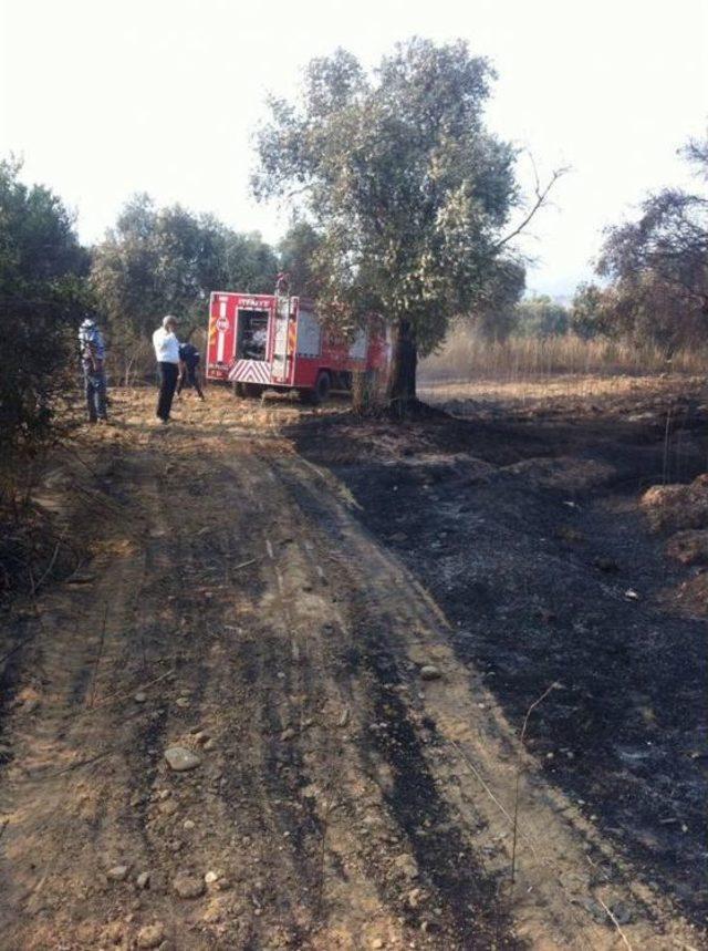 Sultanhisar&rsquo;da Yangın 3