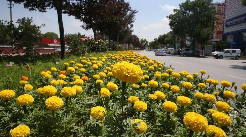 Sincan&rsquo;dan &Ccedil;i&ccedil;ek Kokuları Y&uuml;kseliyor