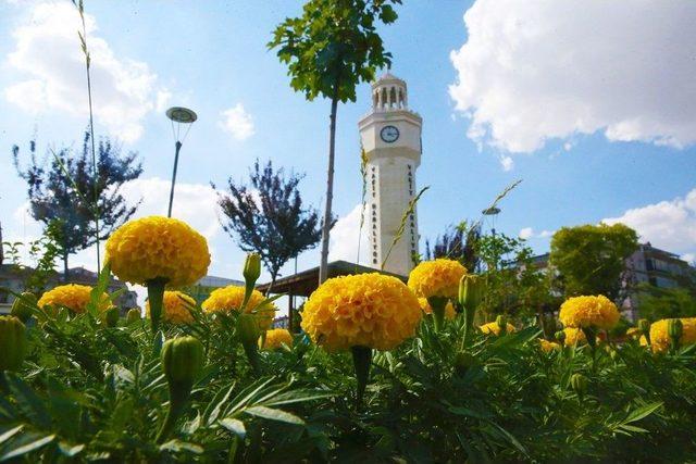 Sincan&rsquo;dan &Ccedil;i&ccedil;ek Kokuları Y&uuml;kseliyor 2