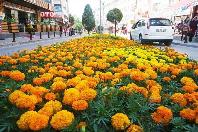 Sincan&rsquo;dan &Ccedil;i&ccedil;ek Kokuları Y&uuml;kseliyor 3