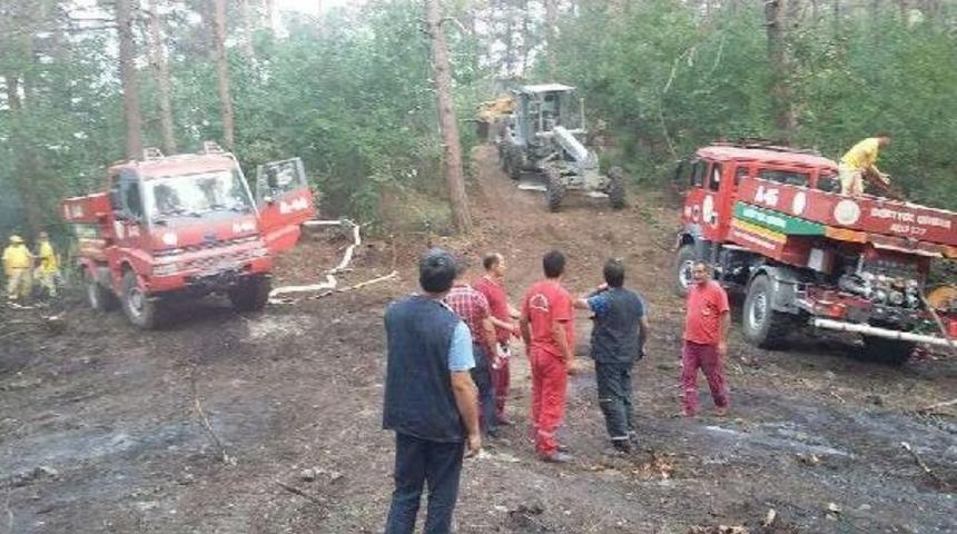 D&ouml;rtyol'da Orman Yangını