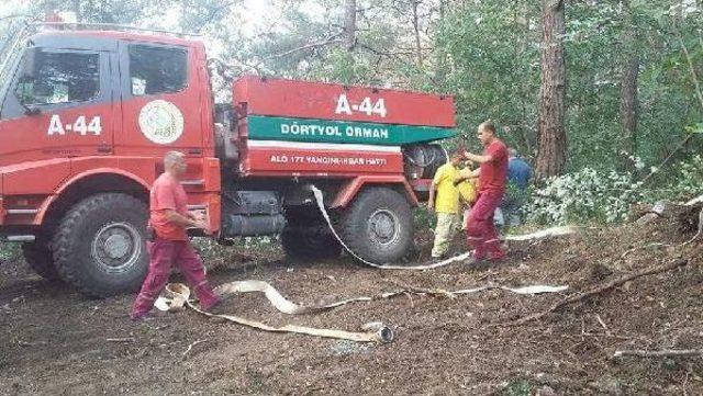 Dörtyol'da Orman Yangını