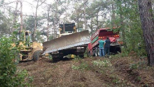 Dörtyol'da Orman Yangını