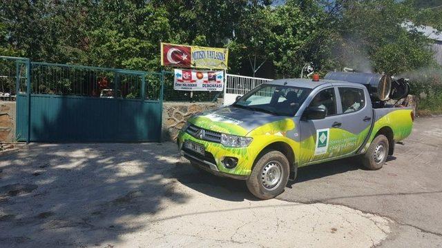 Osmaniye Belediyesi’nden Zorkun Yaylası’na Hizmet