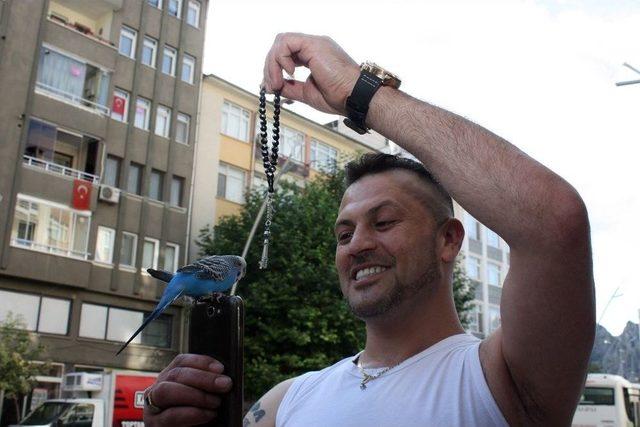 Muhabbet Kuşu Fıstık&rsquo;ı Yanından Hi&ccedil; Ayırmıyor 2