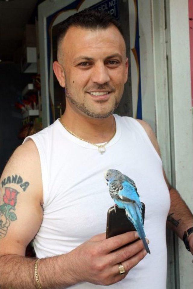 Muhabbet Kuşu Fıstık&rsquo;ı Yanından Hi&ccedil; Ayırmıyor 3