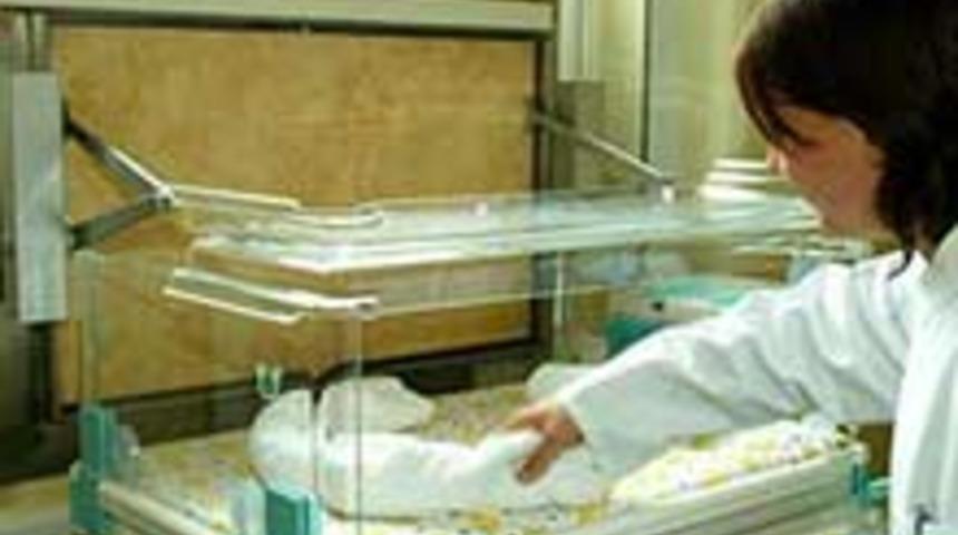 İstenmeyen Bebek Kutusu