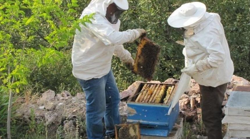 Karbasan K&ouml;y&uuml; Arıcıların Yeni G&ouml;zdesi