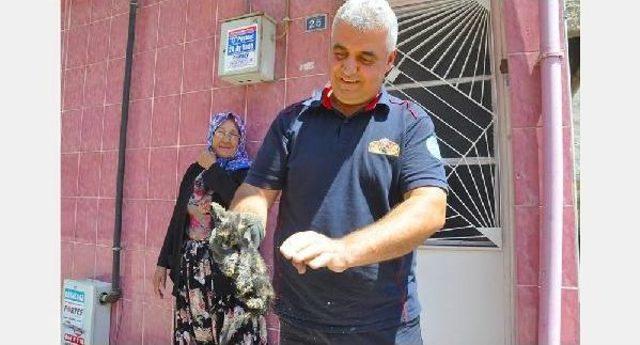 Yavru Kediyi 3 Gün Sonra Itfaiye Kurtardı 2