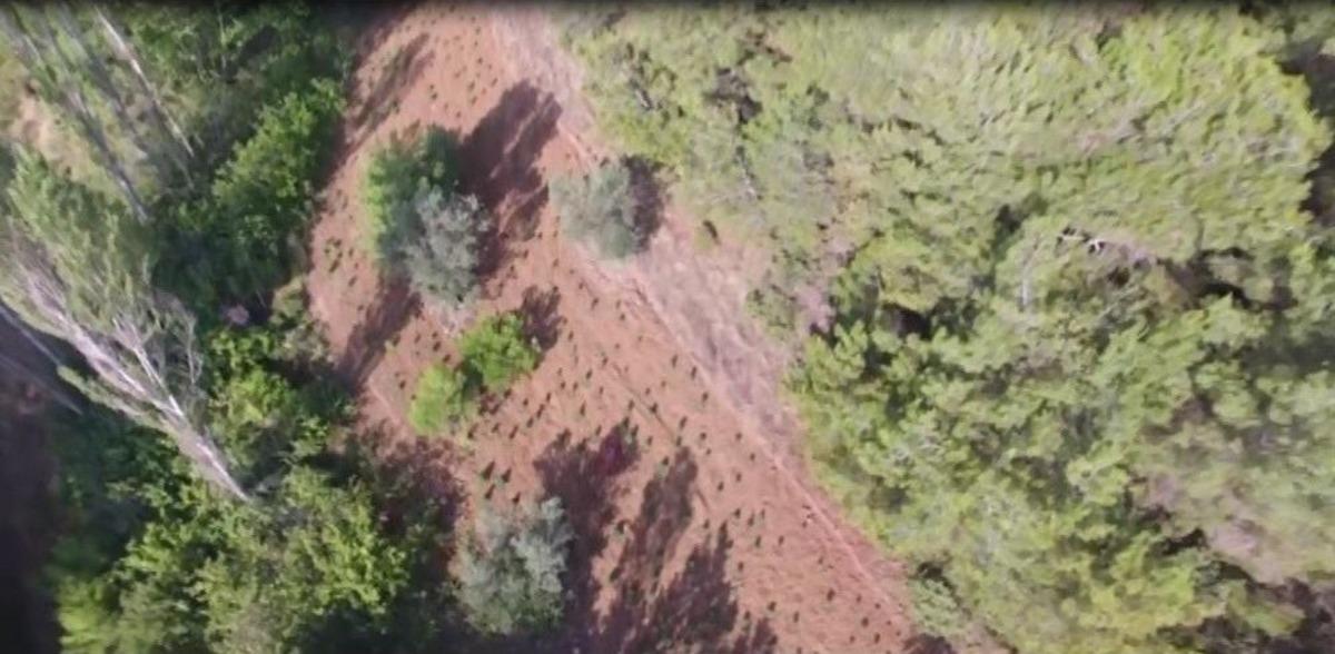 Jandarmadan Drone&rsquo;lu Uyuşturucu Operasyonu
