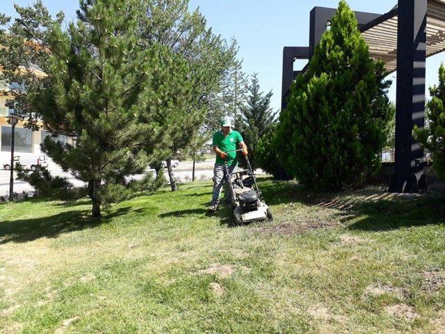 G&ouml;lbaşı&rsquo;nda Parklar Bakıma Alındı 2