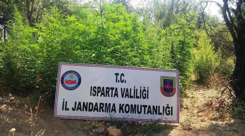 Isparta&rsquo;da Uyuşturucu Operasyonu