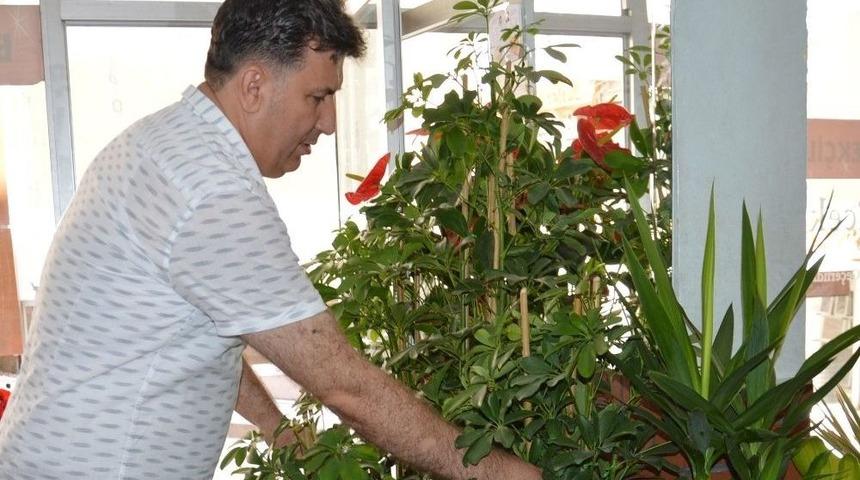 Yaz Ayları &Ccedil;i&ccedil;ek&ccedil;ilerin Bayramı