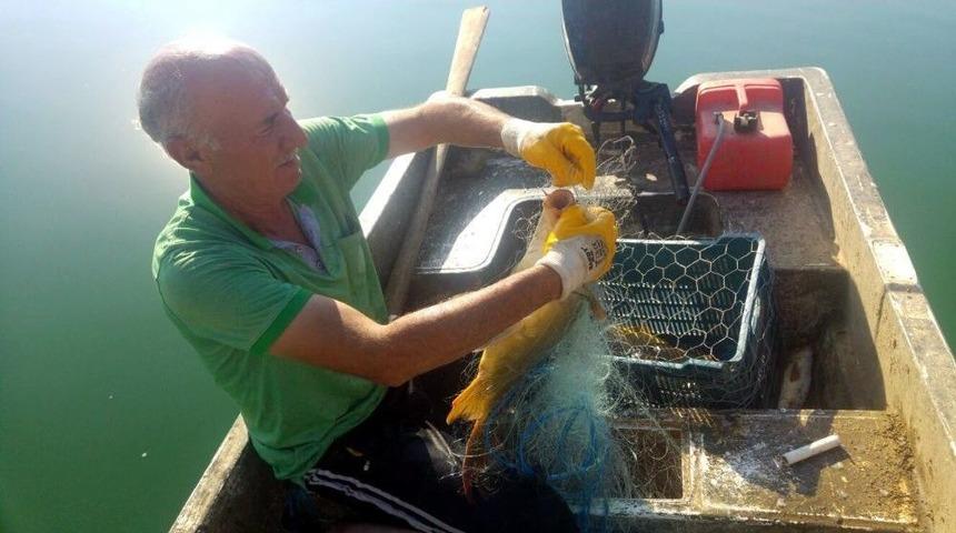 Av Yasağının Kalkmasıyla Ağlar Çekiliyor