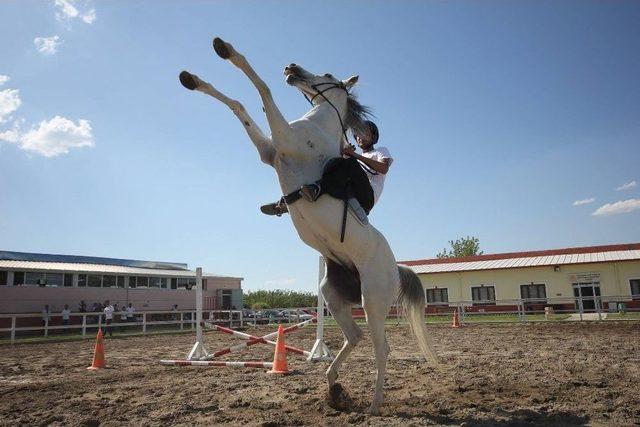 Binicilik Dersleriyle Atçılık Sevgisi Aşılanıyor 1
