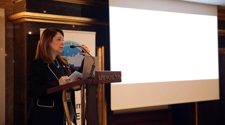 Prof. Dr. G&uuml;nay, Avrupa-asya Forumu&rsquo;nda 15 Temmuz&rsquo;un Ekonomik Etkilerini A&ccedil;ıkladı