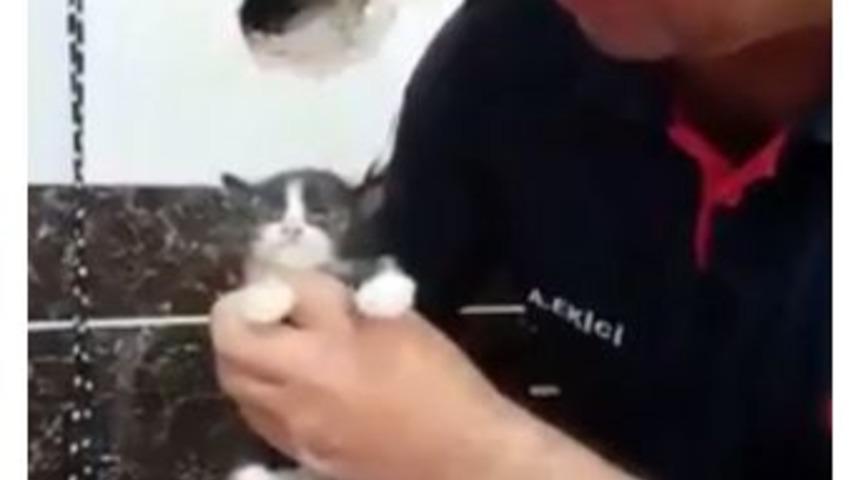 Yavru Kediyi Duvarı Delip Kurtardılar