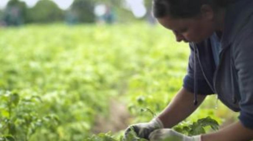Prof. Dr. Yardımcı: "t&uuml;rkiye'de Devlet Destekli Gdo &Ccedil;alışmaları Yapılmalıdır"