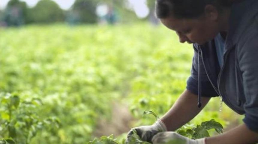Stefan Hipp "organik Tarım Felsefemiz Haline Geldi"