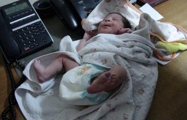 Yeni Doğan Kız Bebeği Çanta Içinde Çöplerin Arasına Bıraktılar