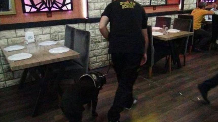 Adapazarı'nda Huzur Operasyonu