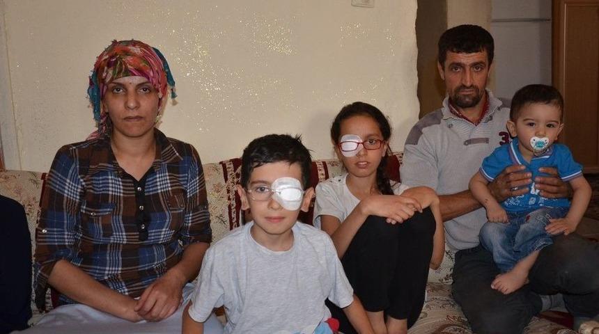 Ak Kardeşler G&ouml;rmek İstiyor