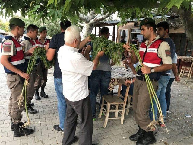 Köyde 320 Bin Liralık Uyuşturucu Çıkınca Eğitim Verdiler