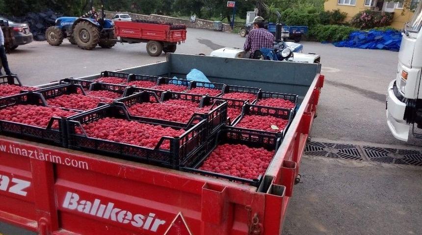 Vitamin Deposu Ahududu &Uuml;reticiyi &Uuml;zd&uuml;