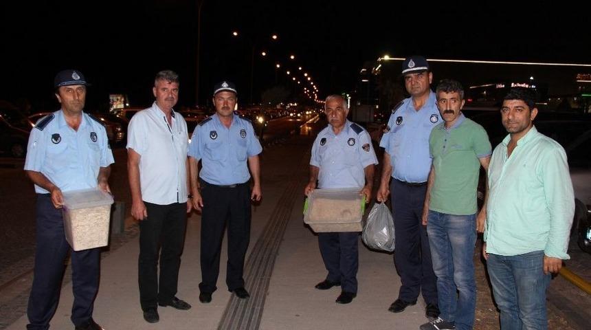 Zabıtadan Çekirdek Operasyonu