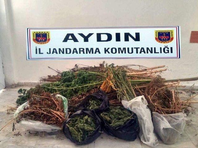 Jandarmanın 7 Ayda D&uuml;zenlediği Operasyonlarda 22,8 Kilo Esrar Yakalandı 1