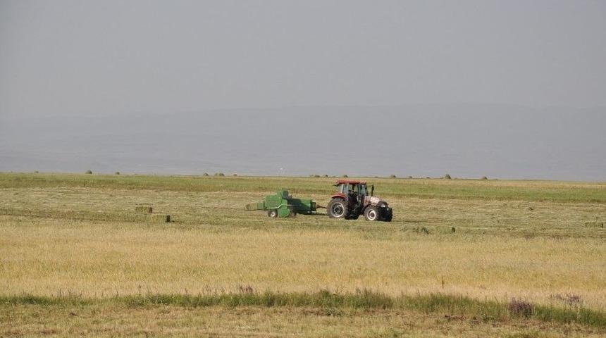 &Ccedil;ift&ccedil;ilerin Ot Bi&ccedil;me Ve Patoz Mesaisi Başladı