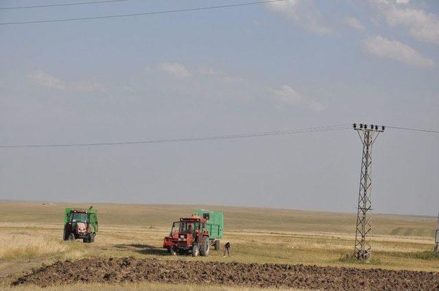 &Ccedil;ift&ccedil;ilerin Ot Bi&ccedil;me Ve Patoz Mesaisi Başladı 2