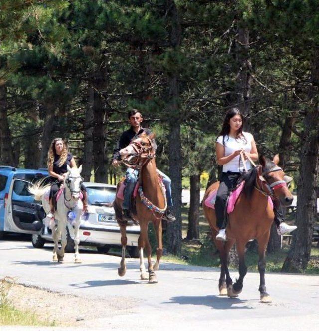 Abant'ta Arap Turist Sayısı Azaldı