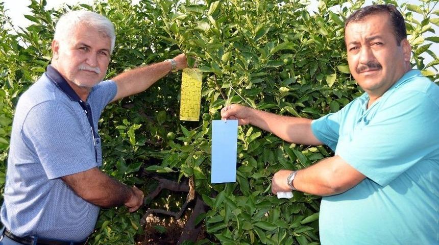 Erdemli Ziraat Odası Zararlılarla M&uuml;cadele Parseli Kurdu