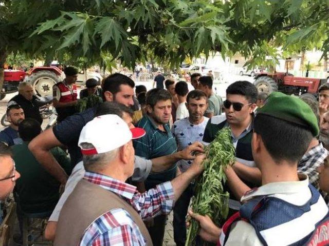 Jandarma, Uyuşturucuyu Böyle Tanıttı 3