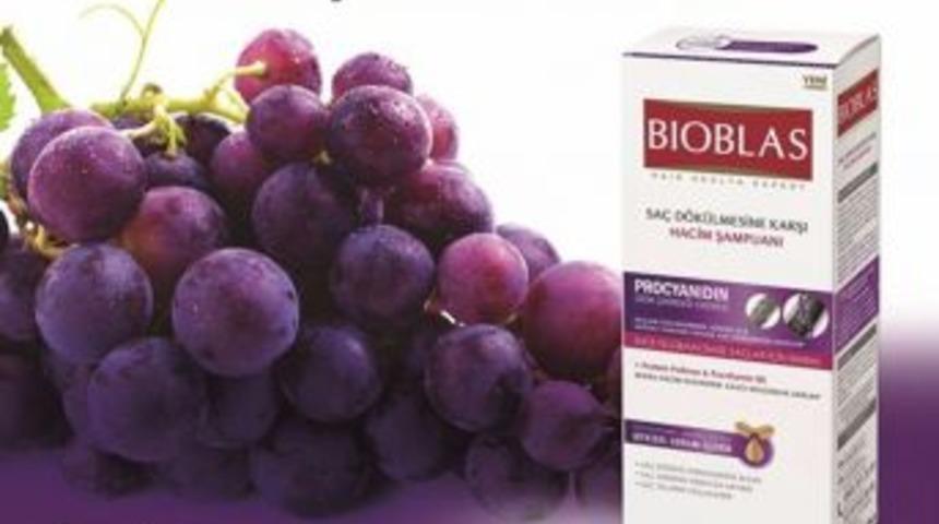 &Uuml;z&uuml;m &Ccedil;ekirdeği Sa&ccedil;ların D&ouml;k&uuml;lmesini Engelliyor