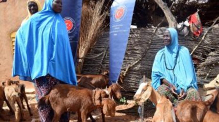 Tika&rsquo;dan Nijer&rsquo;de Kadınlara K&uuml;&ccedil;&uuml;kbaş Hayvan Desteği