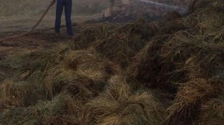 &Ccedil;aldıran&rsquo;da 2 Bin Bağ Ot Yandı