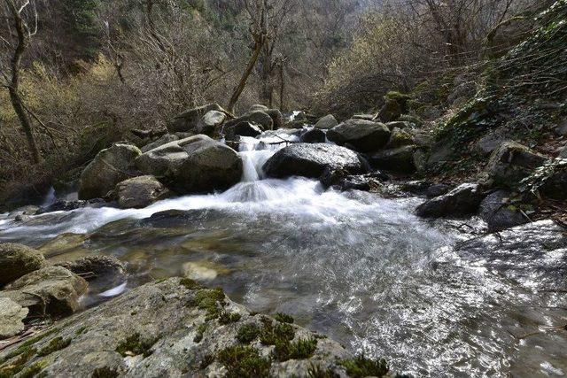 Yıldırım Alternatif Turizmle Kalkınacak