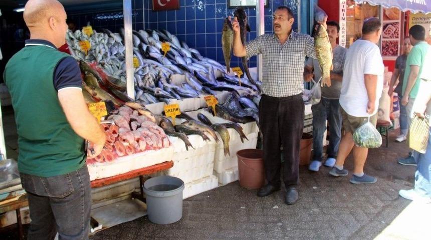 Balık&ccedil;ıların Umudu 1 Eyl&uuml;l