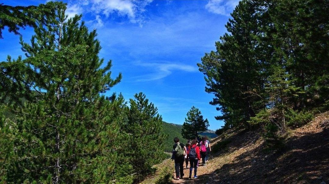 &Ccedil;orum&rsquo;un Yaylaları Doğasever Ve Fotoğraf Tutkunlarını Bekliyor
