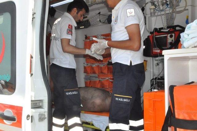 Sinop’ta 5 Kişi Boğulma Tehlikesi Geçirdi 1