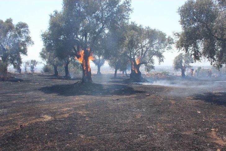 Aydın Alevlere Teslim Oldu G1